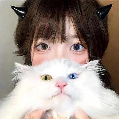 超完美狗保姆